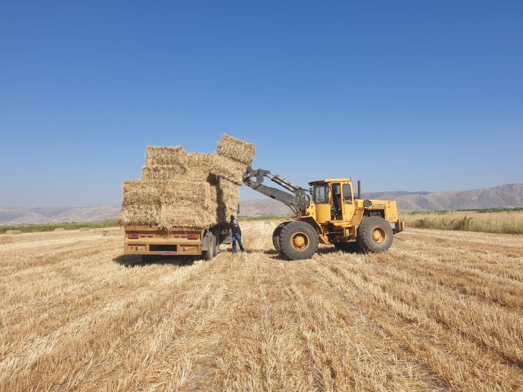 Livestock Feed Support Program